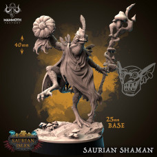Saurus Astrolith Bearer / Skink Starpriest /  Skink Priest